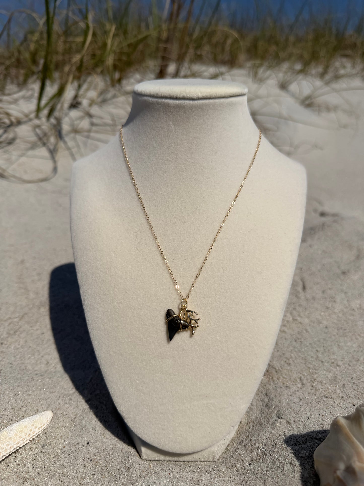 The Outer Reef Gold Shark Tooth Necklace