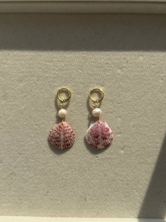 The Oceana Gold Mini Calico Shell Earrings